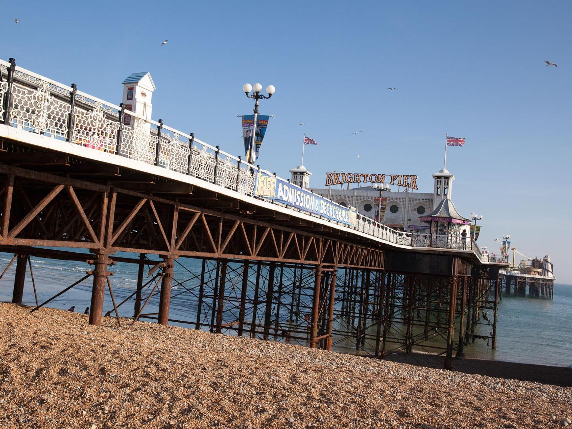 Sunny Queens Park Home - Garden & Private Parking Brighton Exteriör bild